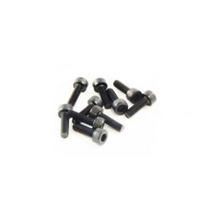Parafuso m3x10mm (10)
