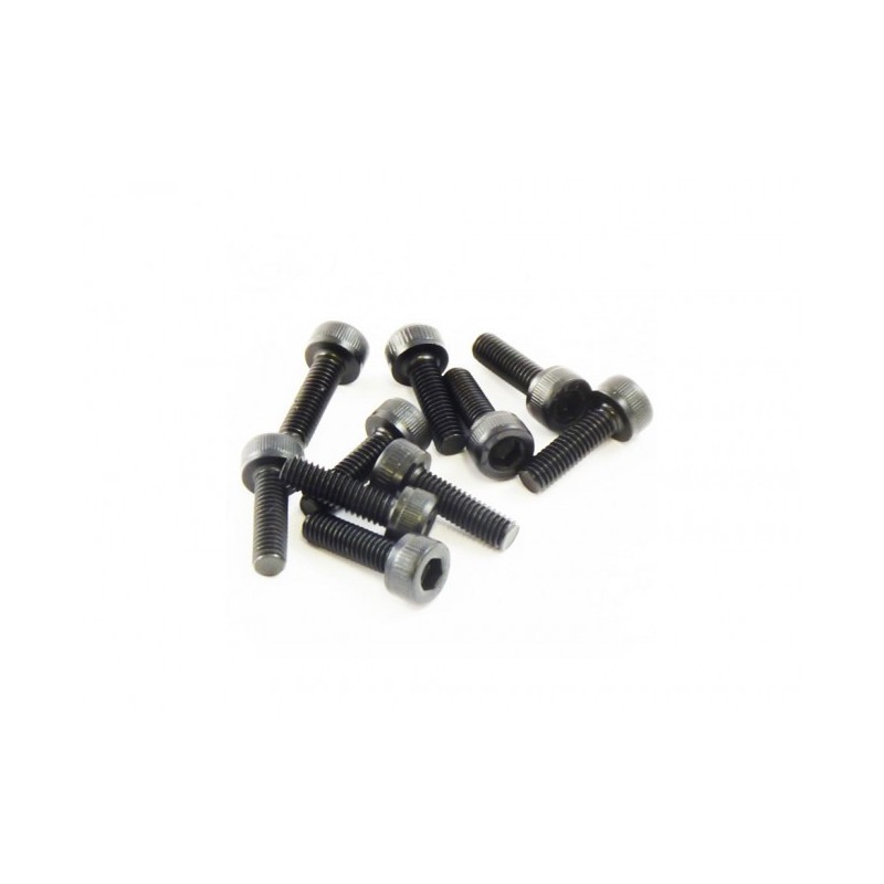 Parafuso m3x10mm (10)