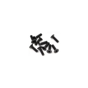 Parafuso sextavado FH/ST M3x10mm (10)