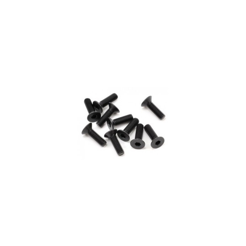 Parafuso sextavado FH/ST M3x10mm (10)