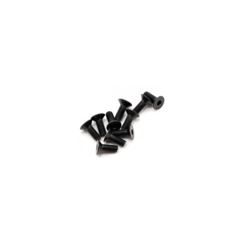 Parafuso sextavado FH/ST M3x8mm (10)