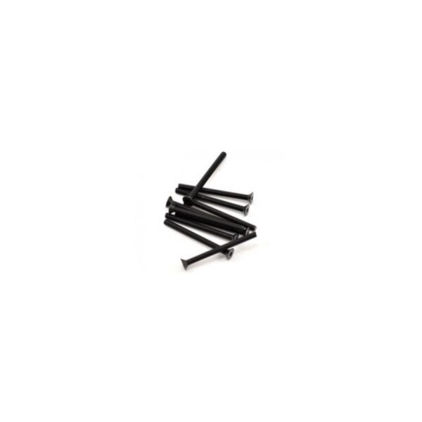 Parafuso sextavado FH/ST M3x35mm (10)