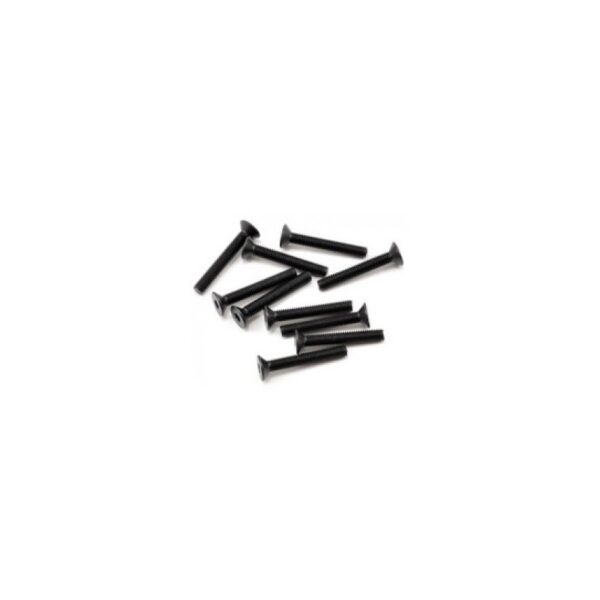 Parafuso sextavado FH/ST M3x20mm (10)