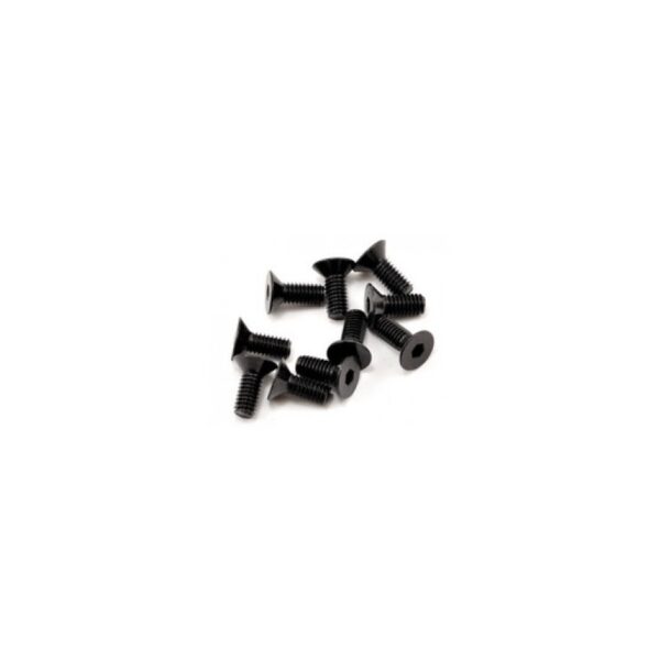 Parafuso sextavado FH/ST M4x10mm (10)