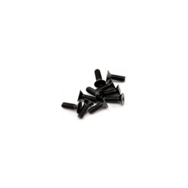 Parafuso sextavado FH/ST M4x12mm (10)