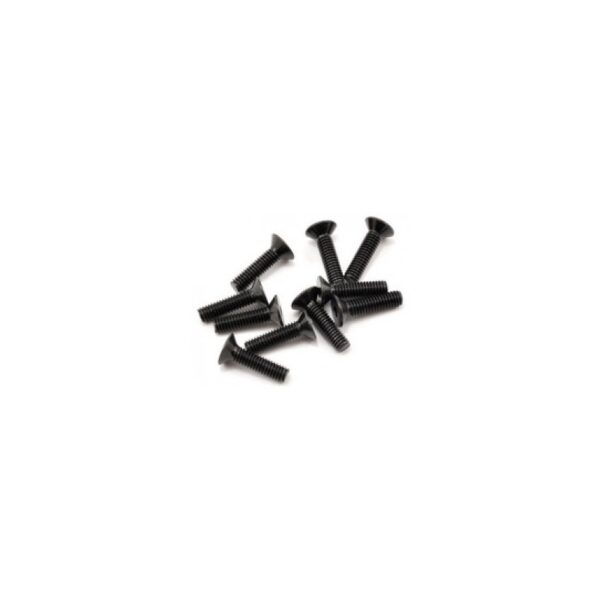 Parafuso sextavado FH/ST M4x16mm (10)