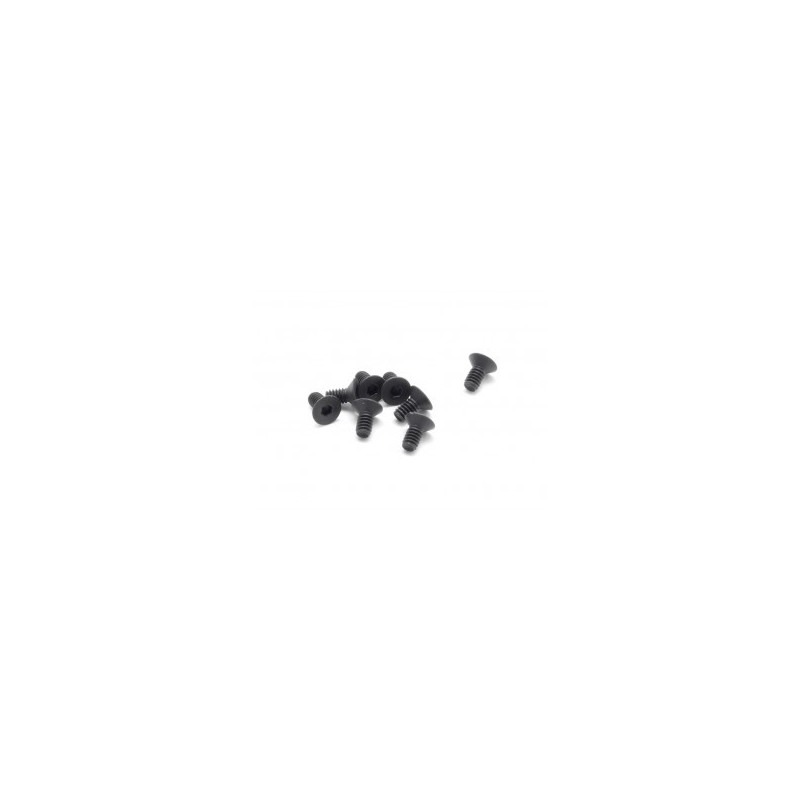 Parafuso Sextavado FH/ST M2x4mm (10)